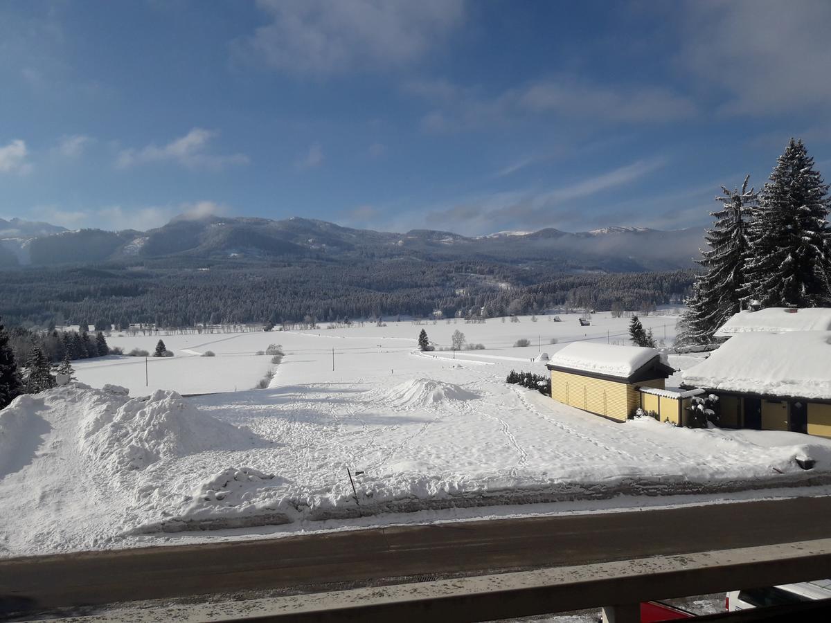 Happy Stay Apartment Bad Mitterndorf Buitenkant foto