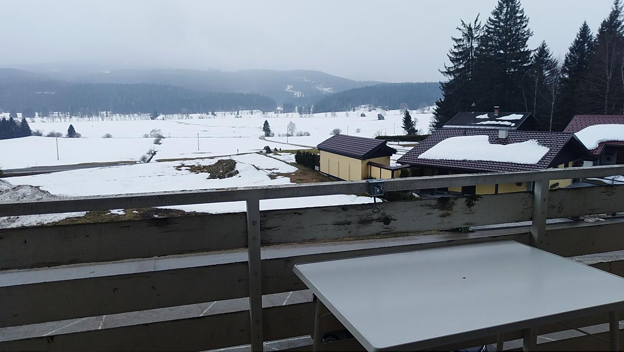 Happy Stay Apartment Bad Mitterndorf Buitenkant foto